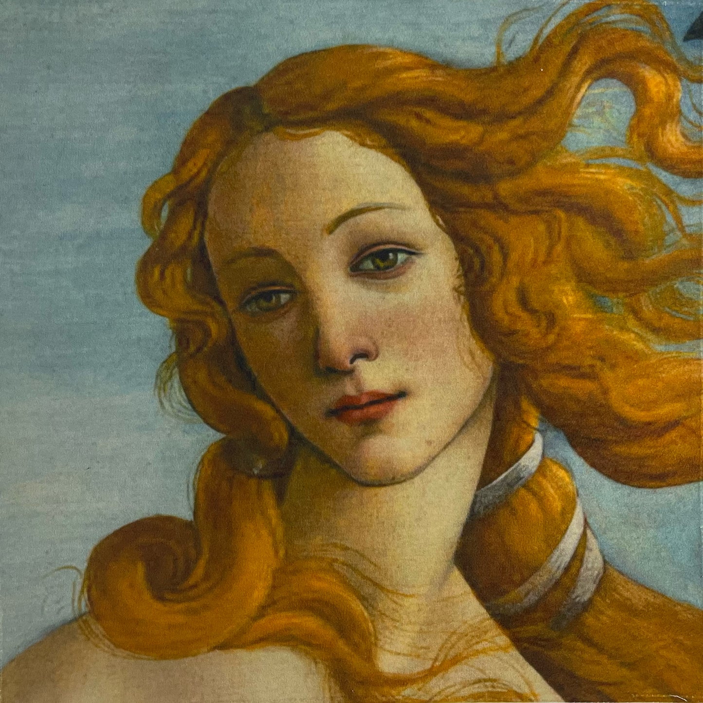 Venere (Botticelli)